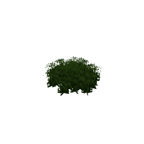 Tree 2 - Copie